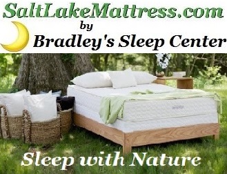 Log Furniture In Utah By Bradley S Rustic Cabin Bradley S Mattresses